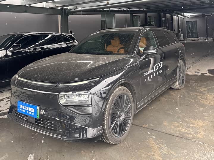 Фото 1 - XPeng G9