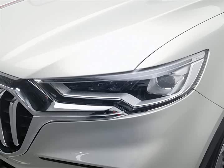 Фото 7 - Hongqi HS5