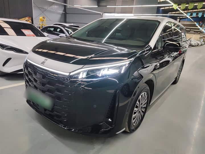 Фото 2 - BYD Xia