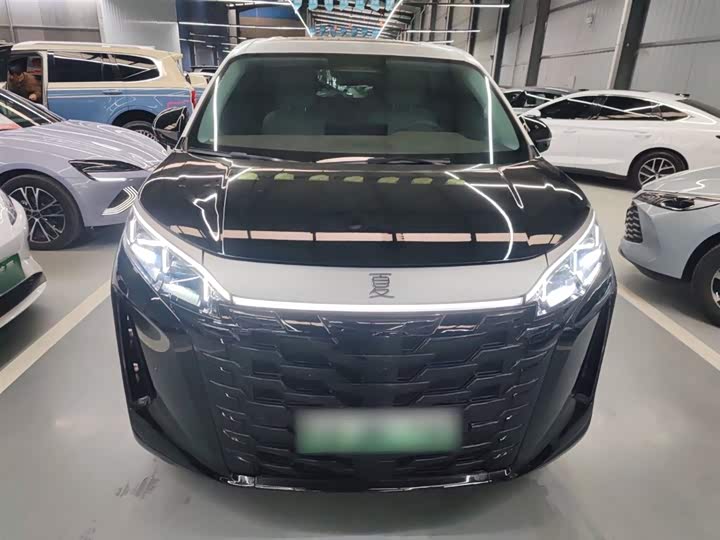 Фото 3 - BYD Xia