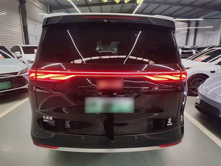 Фото 6 - BYD Xia