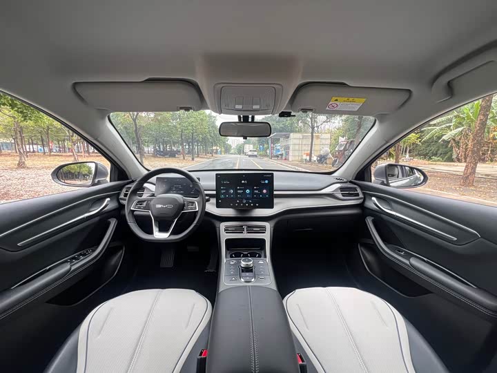 Фото 5 - BYD Destroyer 05