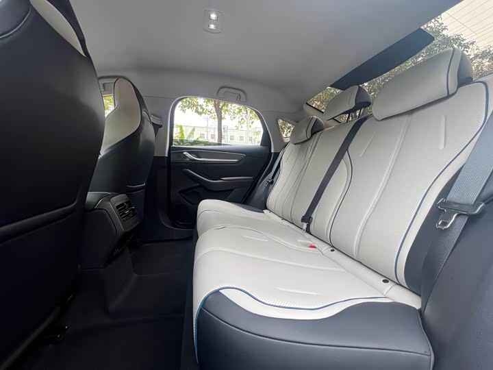 Фото 6 - BYD Destroyer 05