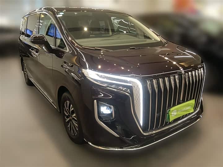 Фото 7 - Hongqi HQ9 Hybrid