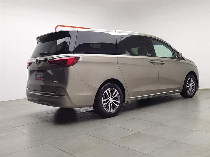 Фото 2 - Buick GL8 ES