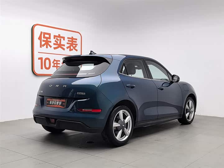 Фото 2 - Ora Good Cat (03)