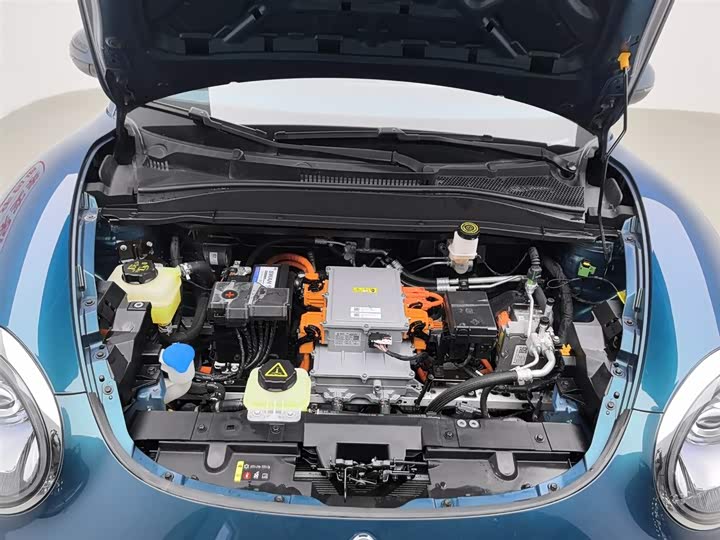 Фото 6 - Ora Good Cat (03)