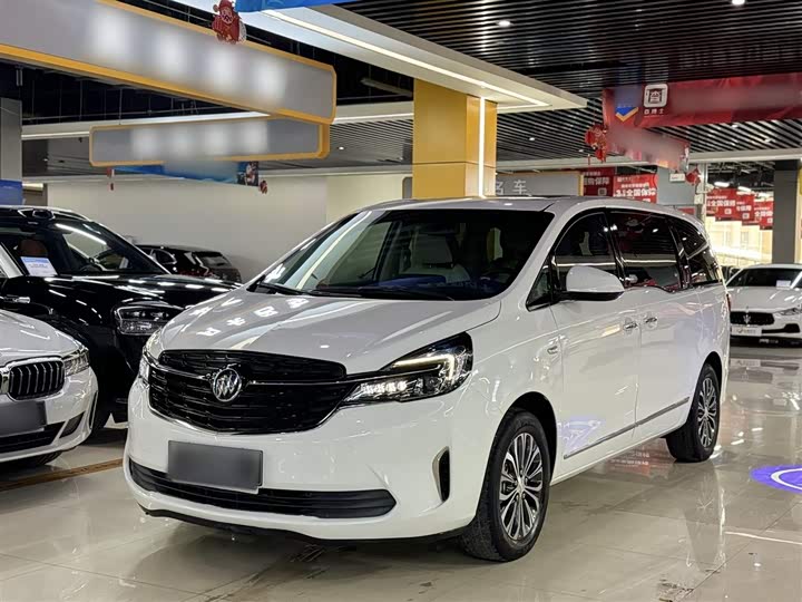 Фото 1 - Buick GL8 ES