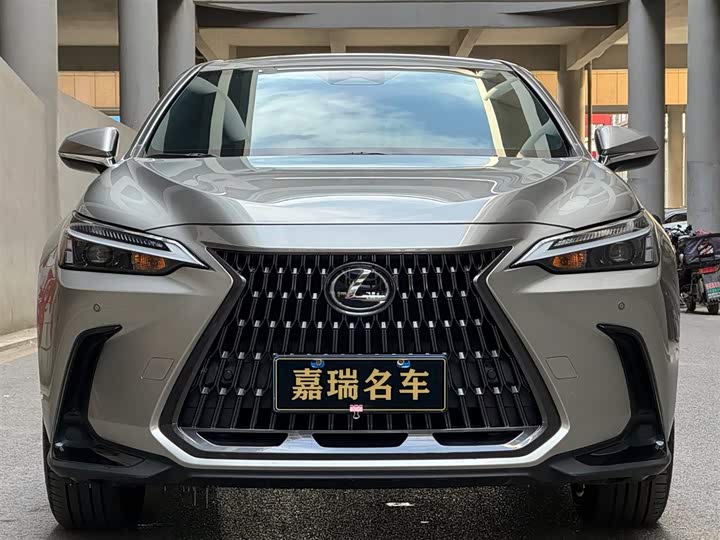 Фото 2 - Lexus NX