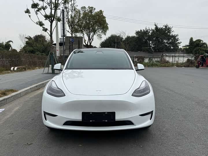 Фото 2 - Tesla Model Y