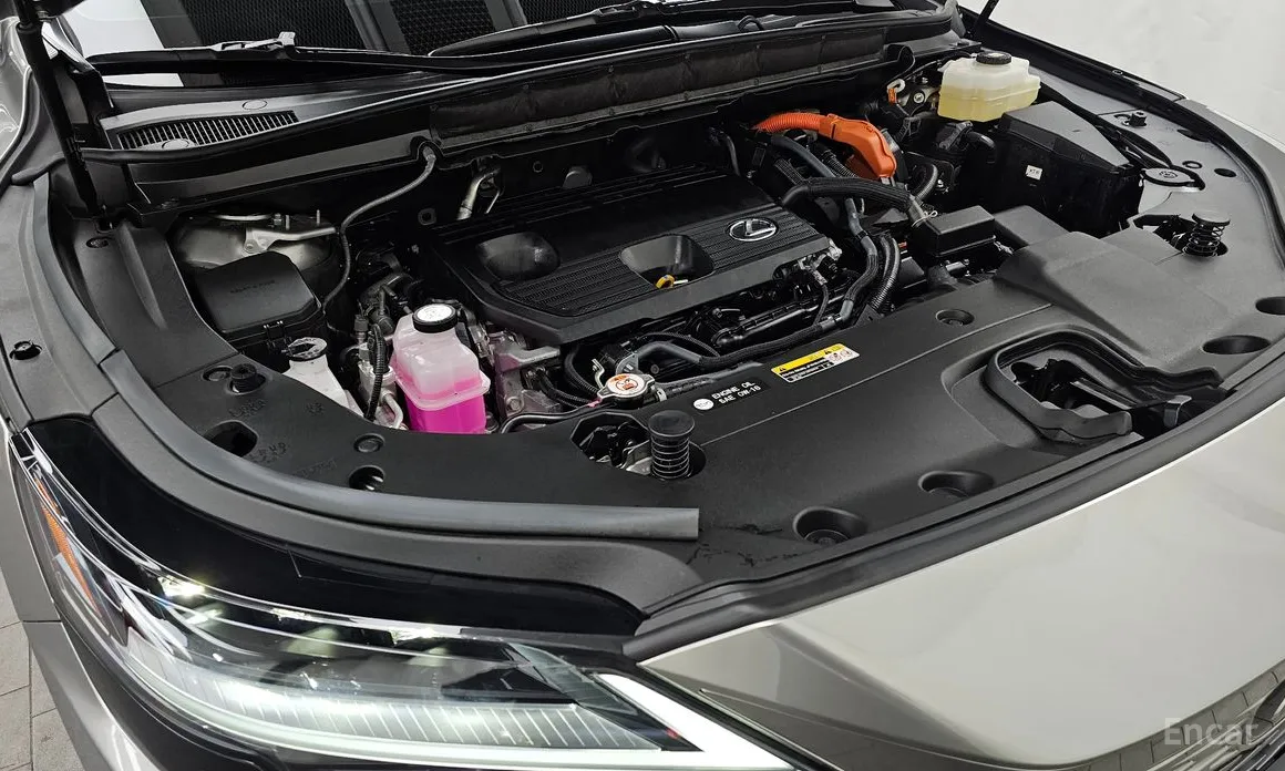 Фото 6 - Lexus RX