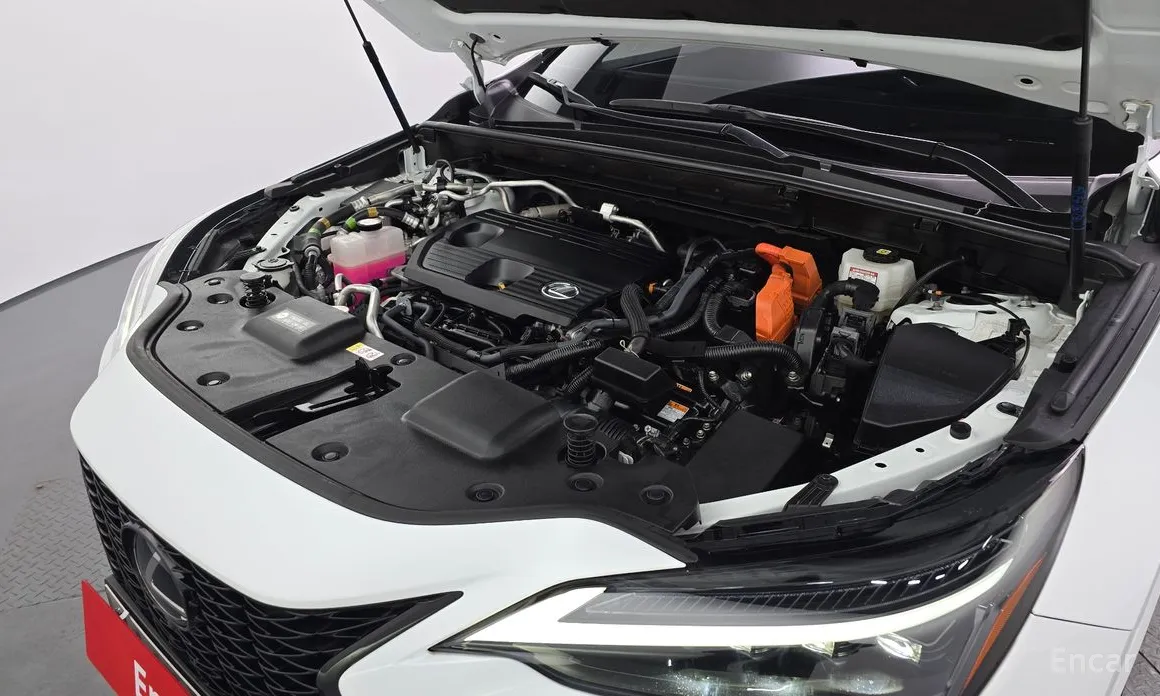 Фото 6 - Lexus NX