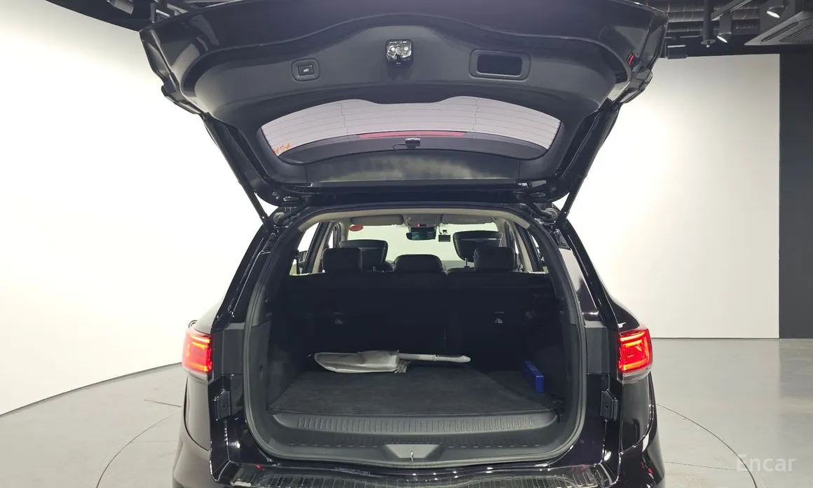 Фото 20 - Renault QM6