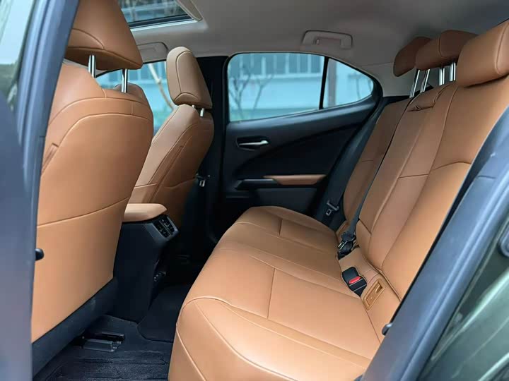 Фото 7 - Lexus UX Hybrid