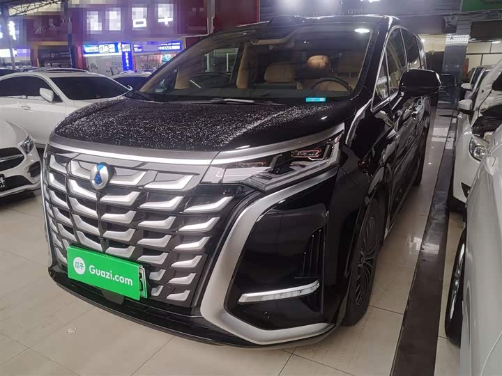 Фото 2 - Denza D9