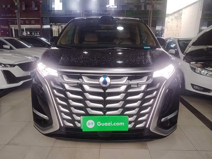 Фото 3 - Denza D9