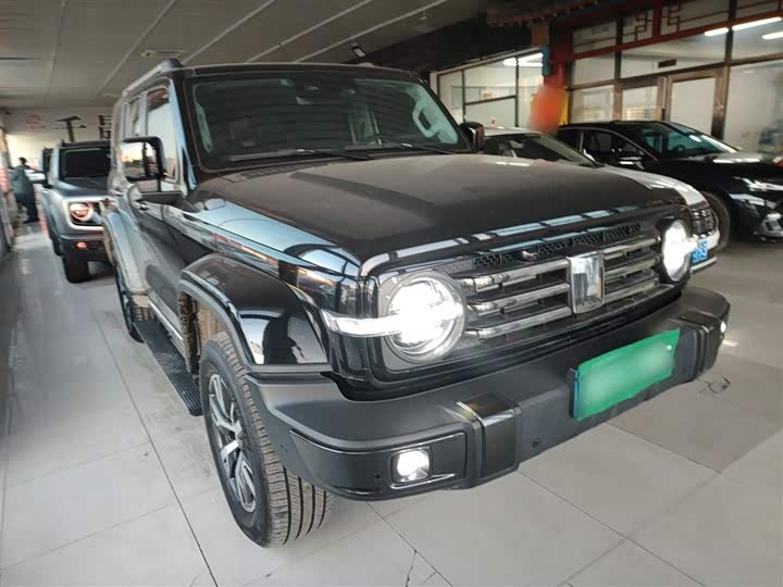 Фото 4 - Tank 300