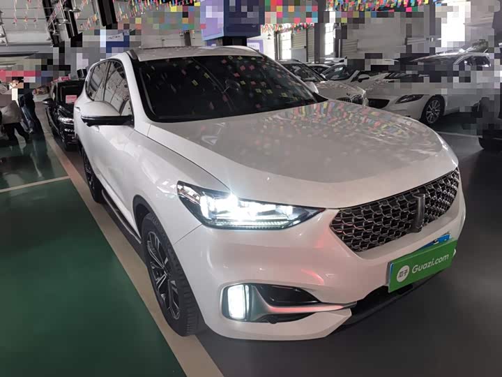 Фото 4 - Wey VV6