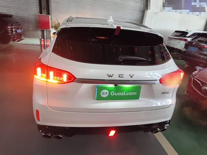 Фото 6 - Wey VV6