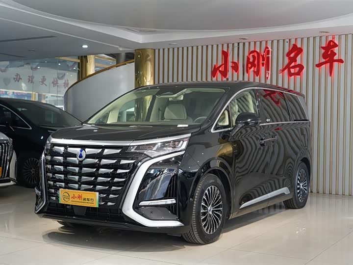 Фото 2 - Denza D9