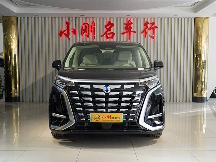 Фото 3 - Denza D9