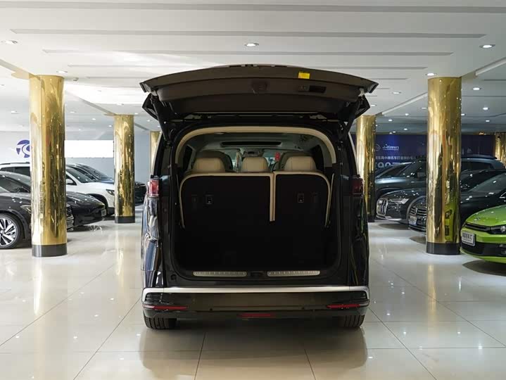 Фото 7 - Denza D9