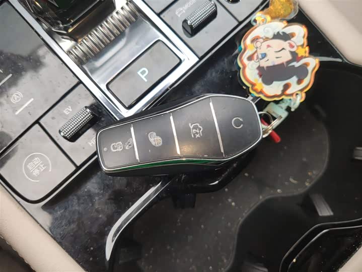 Фото 9 - BYD Song Plus Hybrid/EV