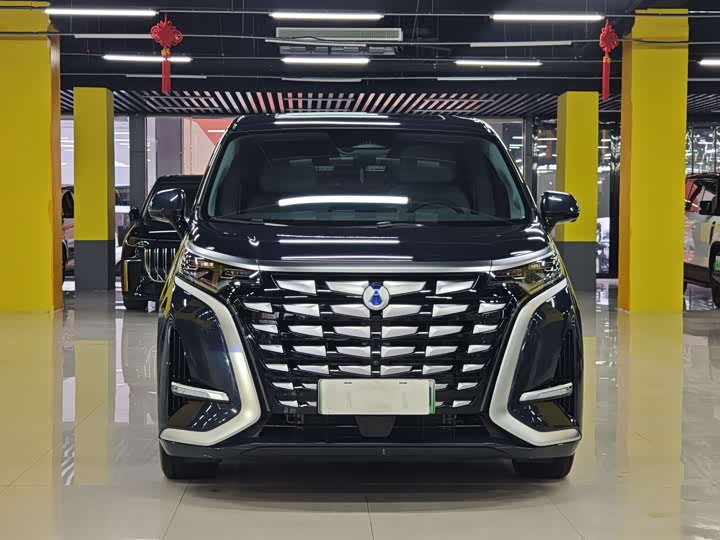 Фото 2 - Denza D9