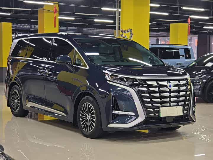 Фото 3 - Denza D9