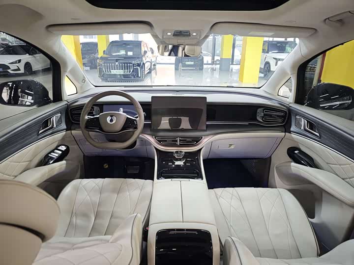 Фото 6 - Denza D9