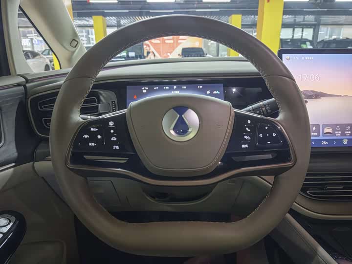 Фото 8 - Denza D9