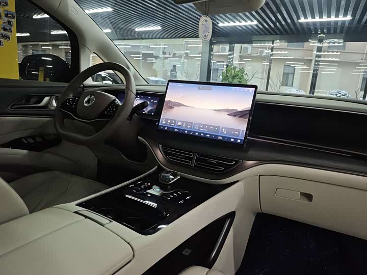 Фото 9 - Denza D9