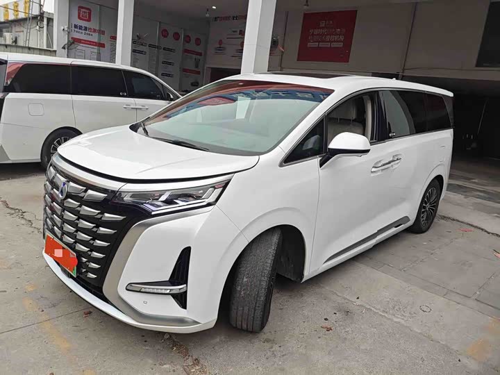 Фото 1 - Denza D9