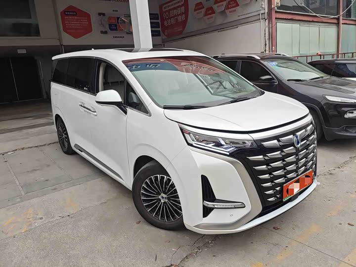 Фото 2 - Denza D9