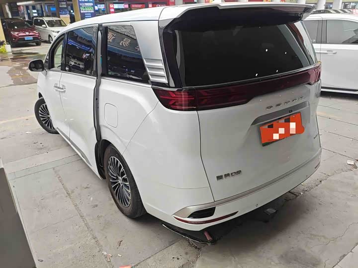 Фото 4 - Denza D9