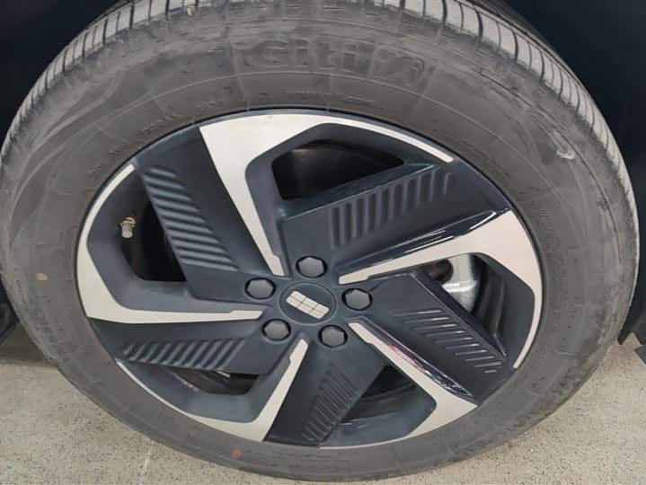 Фото 5 - Geely Galaxy L6