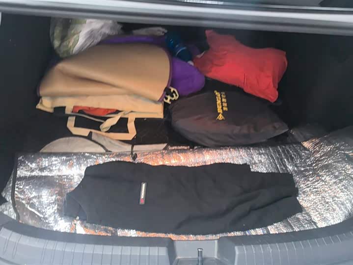 Фото 4 - Volkswagen Sagitar L