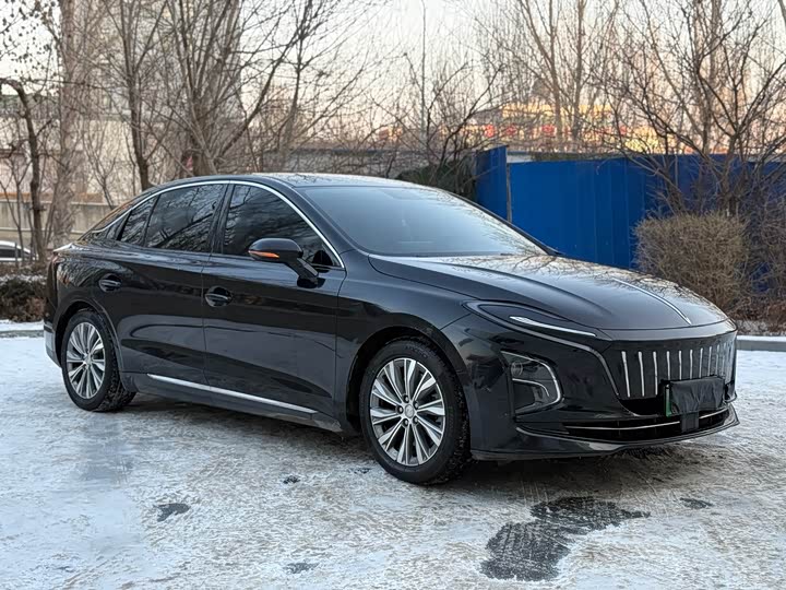 Фото 2 - Hongqi E-QM5