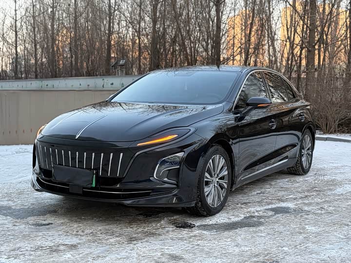 Фото 3 - Hongqi E-QM5