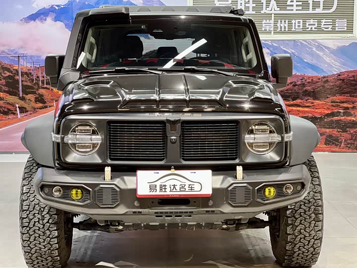 Фото 2 - Tank 300