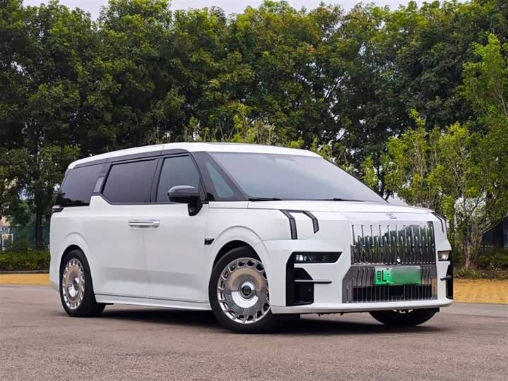 Фото 1 - Zeekr 009