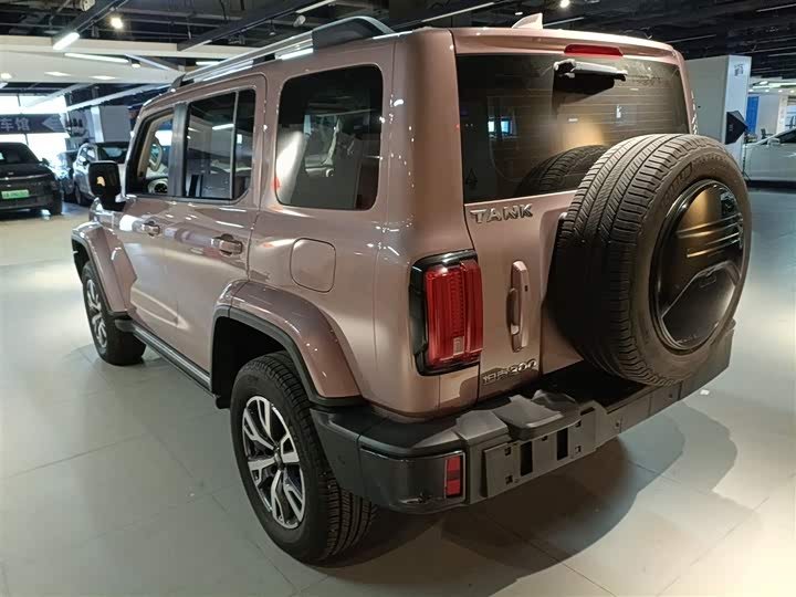 Фото 5 - Tank 300