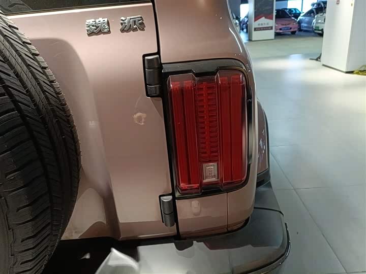 Фото 8 - Tank 300