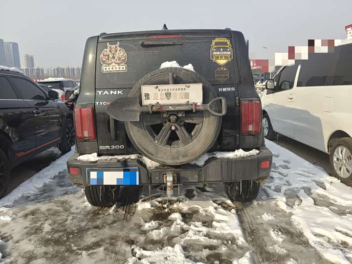 Фото 8 - Tank 300