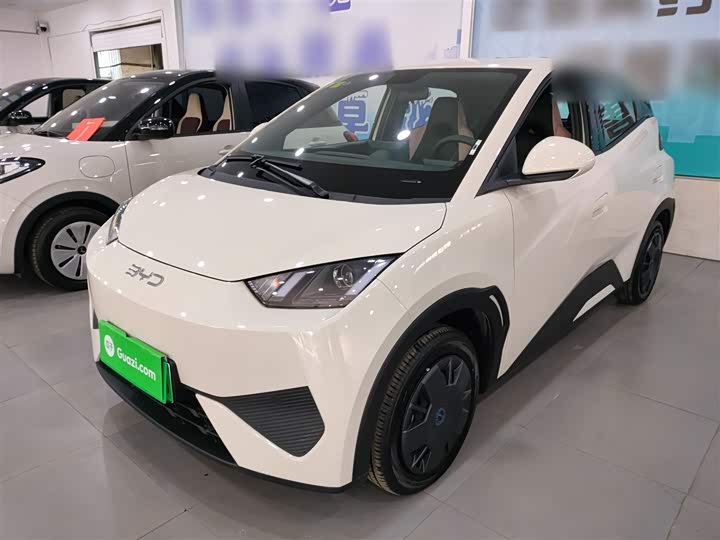 Фото 1 - BYD Seagull