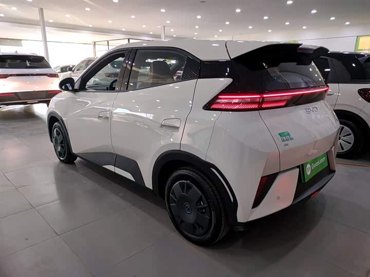 Фото 5 - BYD Seagull