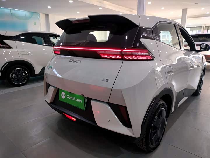 Фото 6 - BYD Seagull