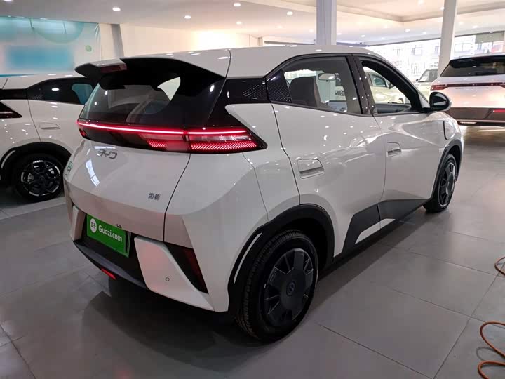 Фото 7 - BYD Seagull