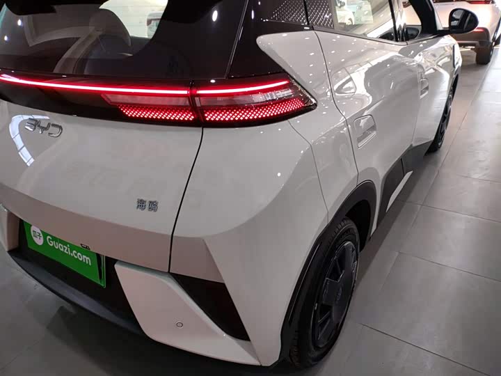 Фото 8 - BYD Seagull