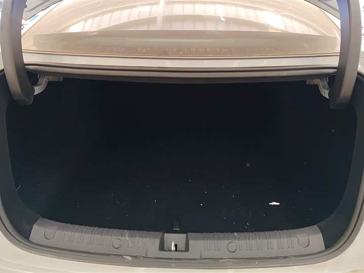 Фото 4 - BYD Qin L